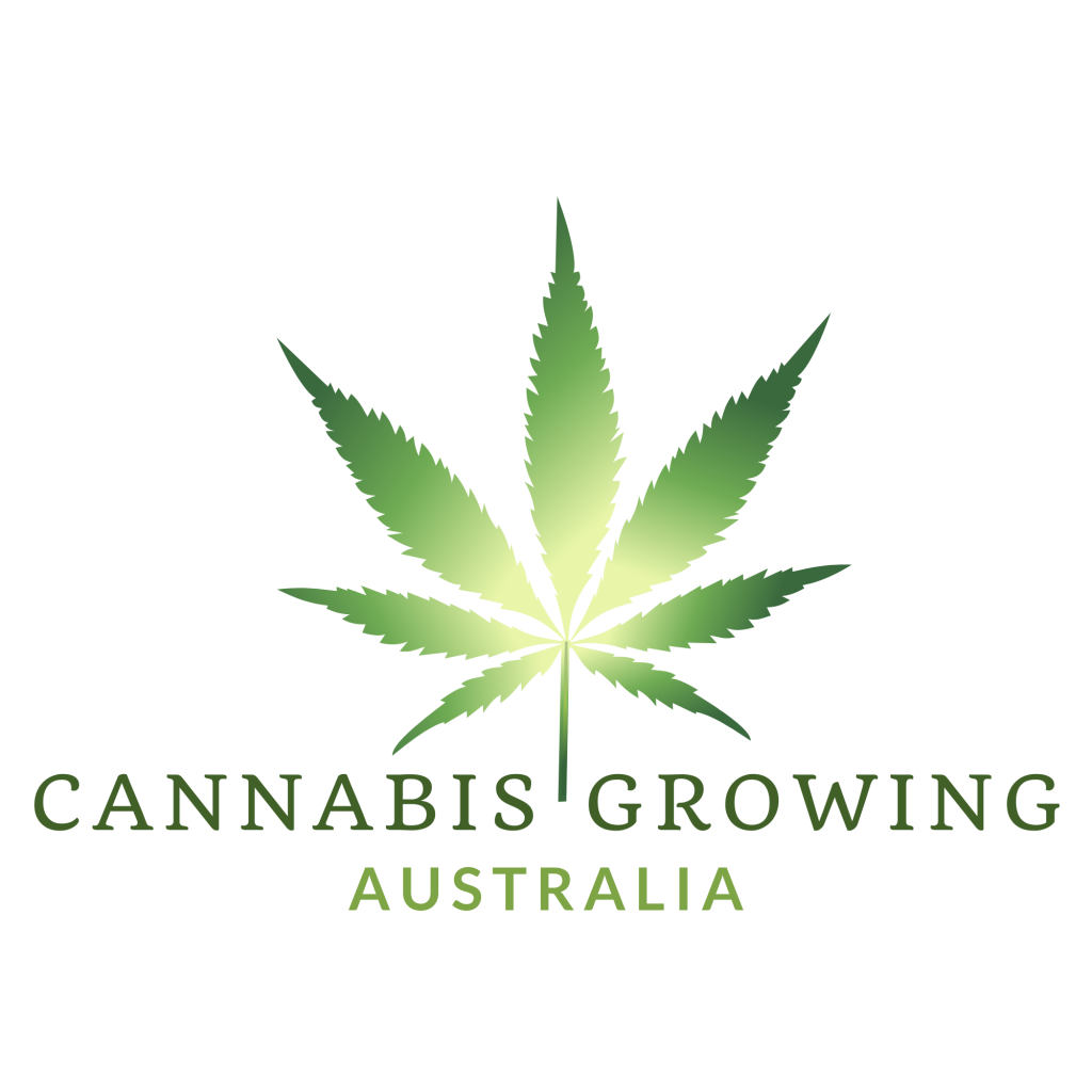Exploring Generic and Open Scripts for Medicinal Cannabis