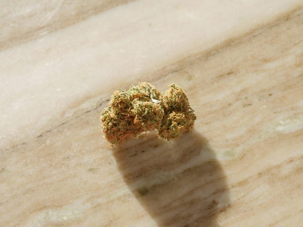 cannabis bud on wooden surface