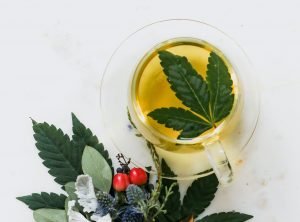 marijuana leaf in glass of tea