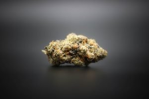 marijuana bud on dark background