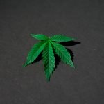 Amazon in Favour of Legalising Cannabis in US