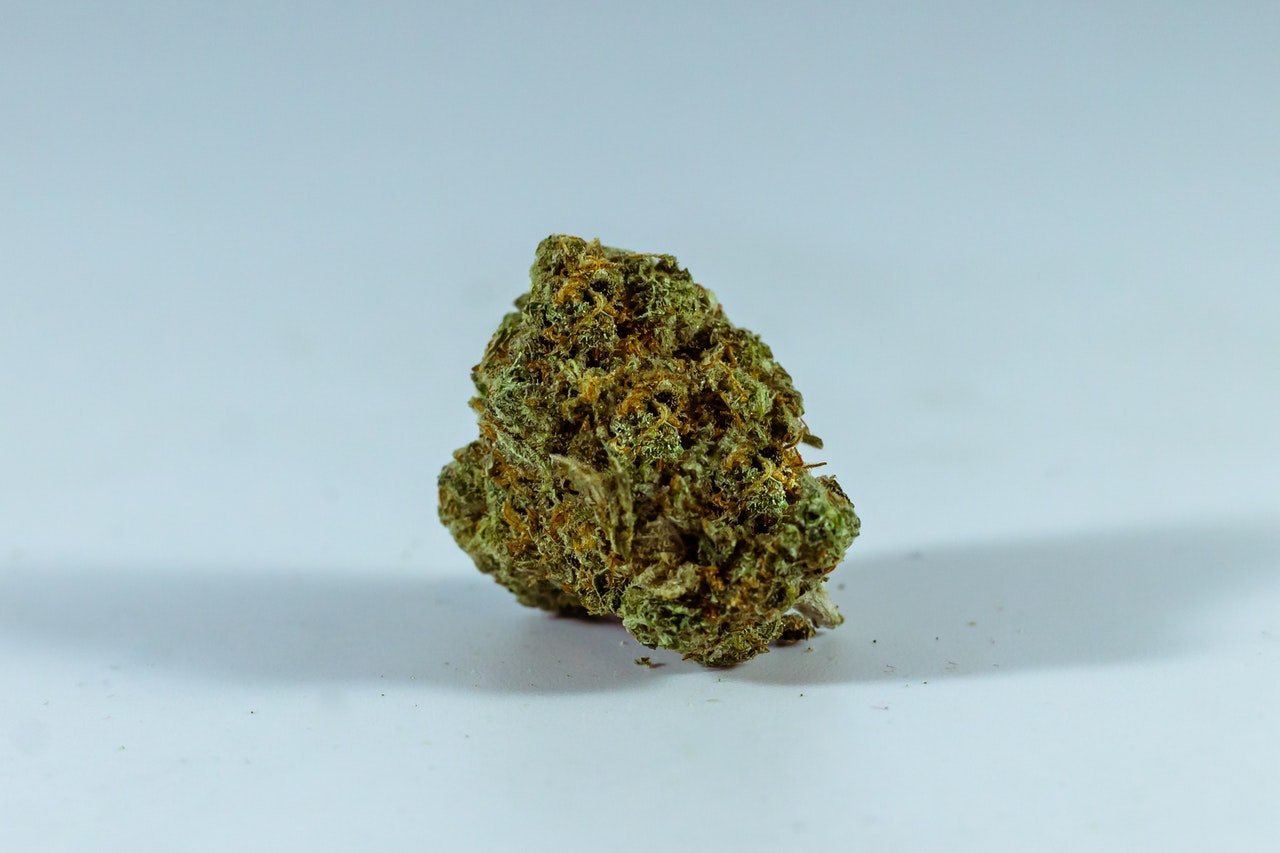 a cannabis bud